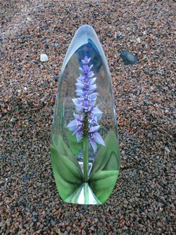 glasfig